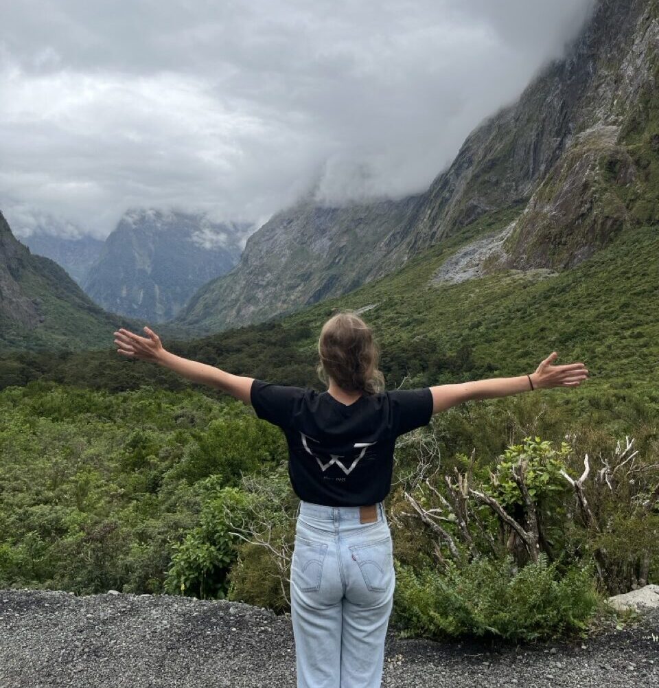 Gletscher im Regenwald