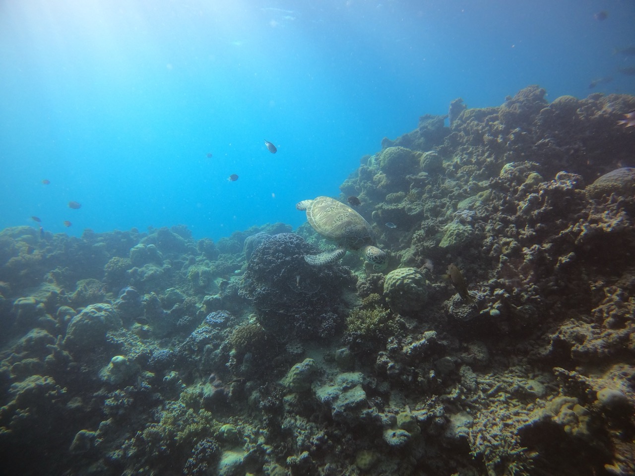 Blue ocean, red dirt