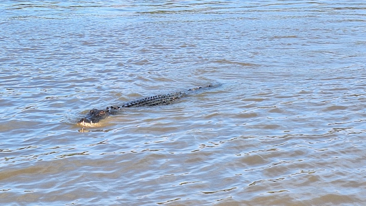 Groß (20250426_091203)