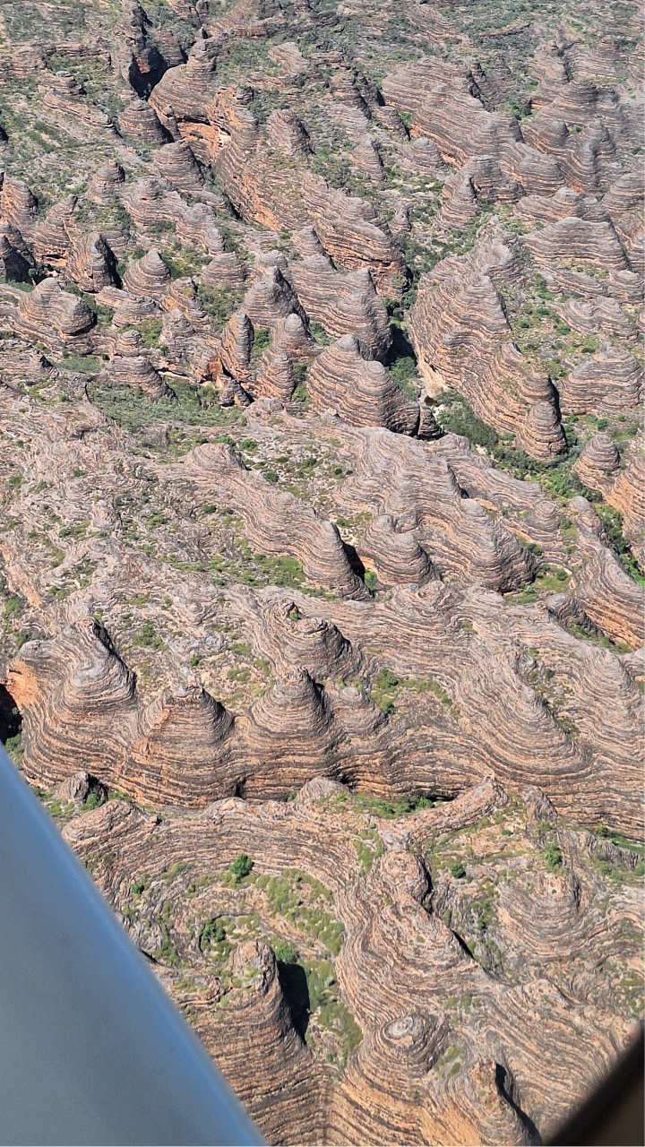 Groß (20250429_100510)