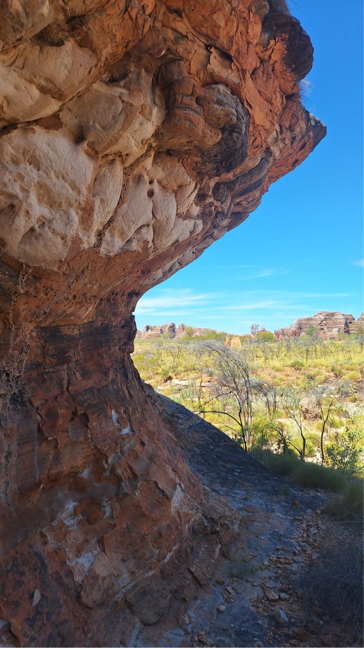 Groß (20250429_114908)