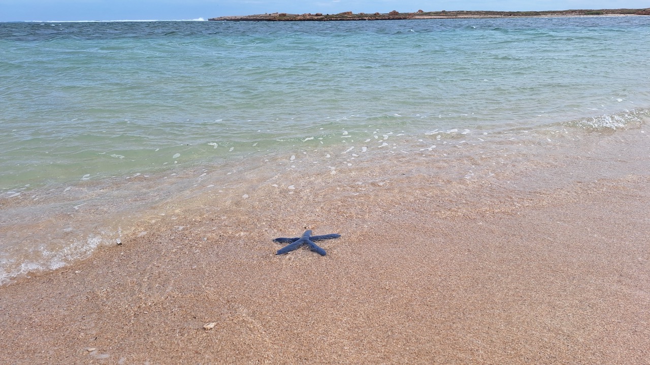 Groß (20250505_133815)