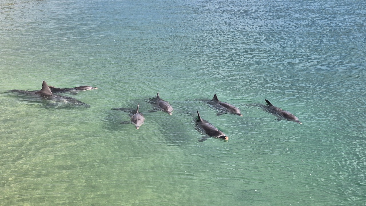 Groß (20250506_090214)