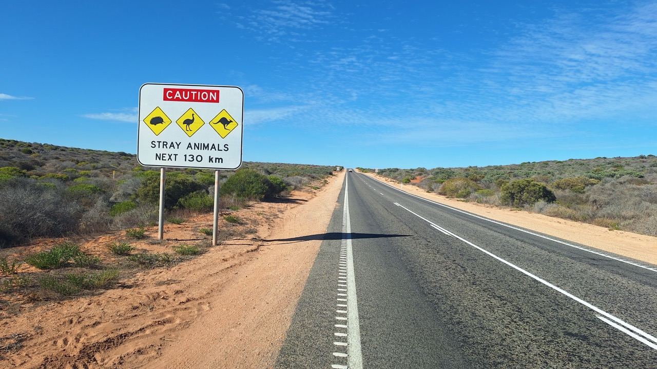 Groß (20250507_095540)