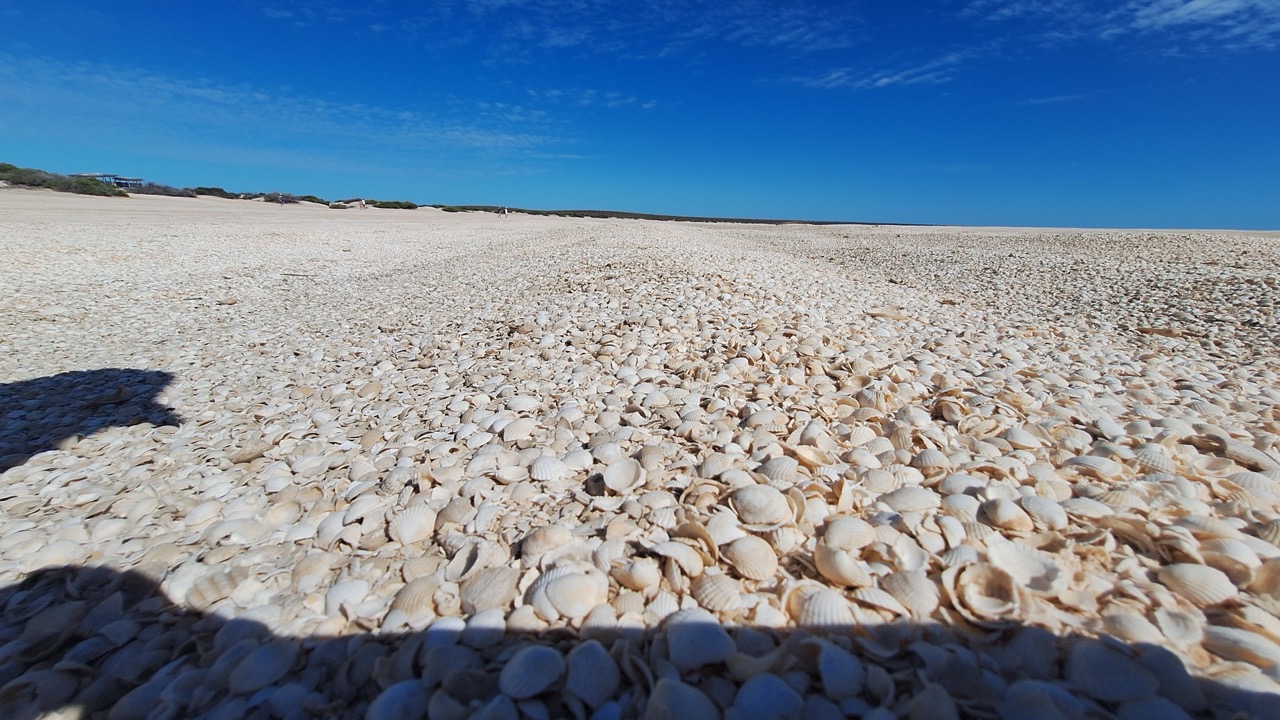 Groß (20250507_103949)