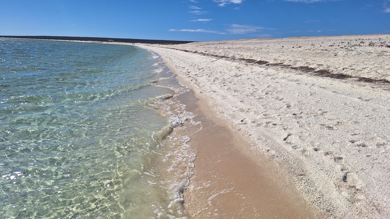 Groß (20250507_104233)