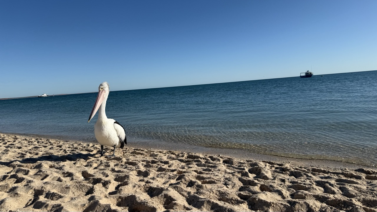 Groß (FullSizeRender 2)