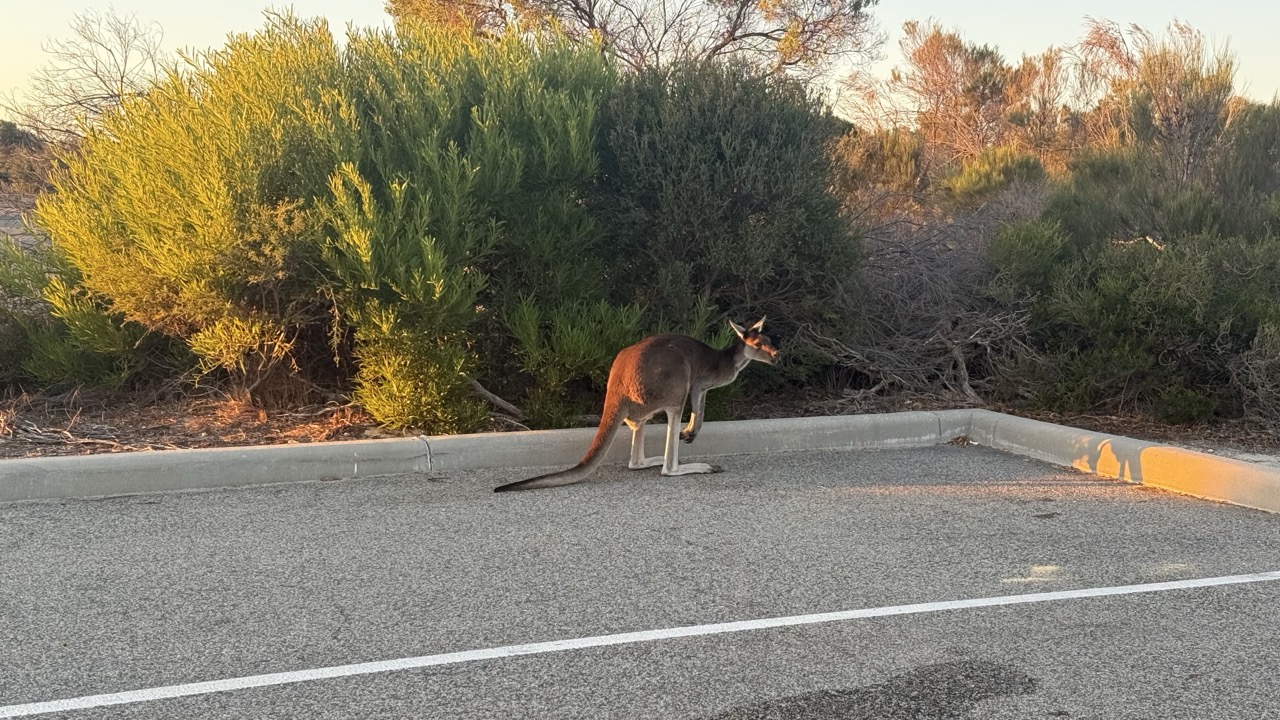 Groß (FullSizeRender 3)